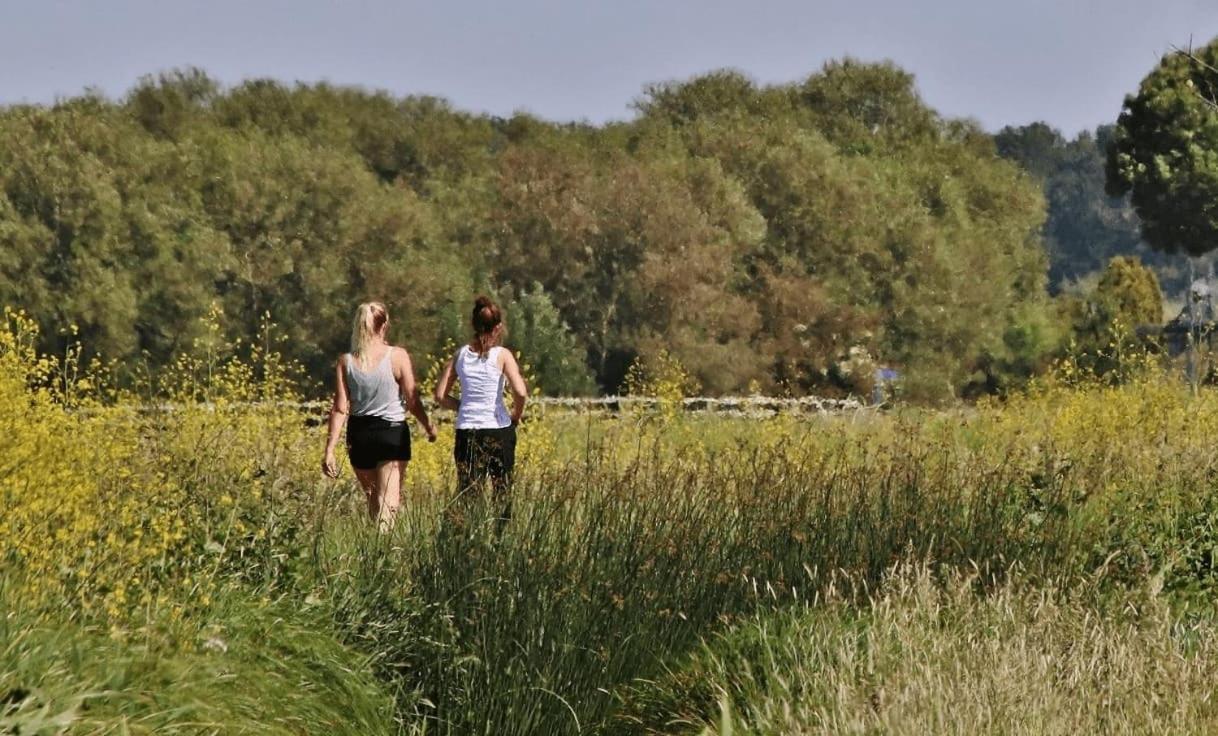 De Beijersche Stee , Logies In De Wagenschuur *